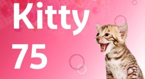 Kitty 75